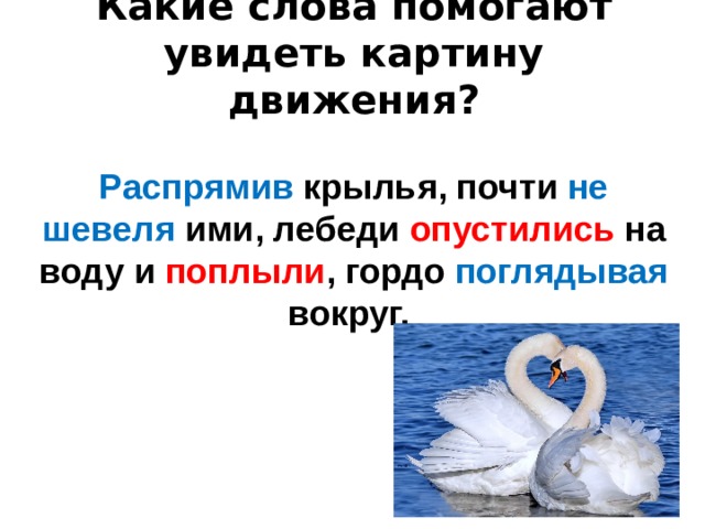 Какие слова помогают увидеть картину движения?   Распрямив крылья, почти не шевеля ими, лебеди опустились на воду и поплыли , гордо поглядывая вокруг.   