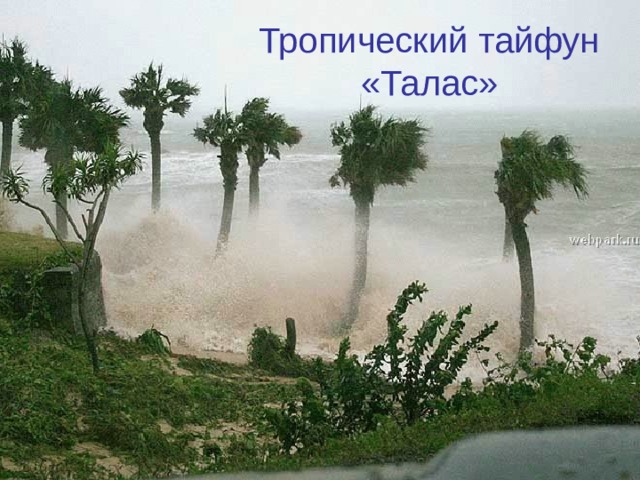 Тропический тайфун «Талас» 