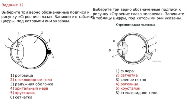 Обозначь 3 верных ответа