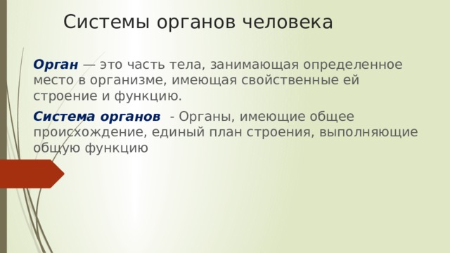 Системы органов человека Орган — это часть тела, занимающая определенное место в организме, имеющая свойственные ей строение и функцию. Система органов - Органы, имеющие общее происхождение, единый план строения, выполняющие общую функцию 