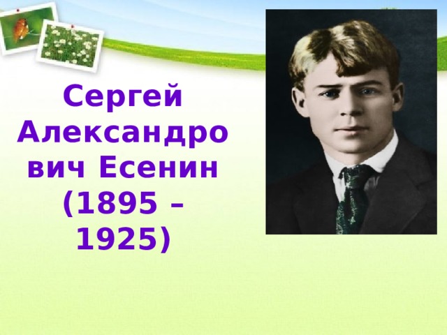 есенин нивы сжаты рощи голы стихотворение презентация