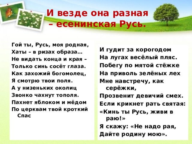 Гой ты русь моя родная текст