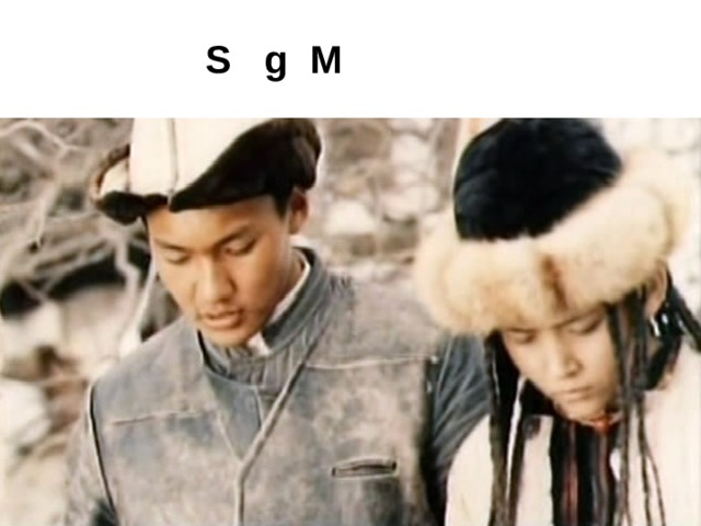  S g M 
