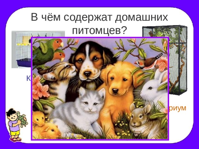 Проект по теме животные 9 класс