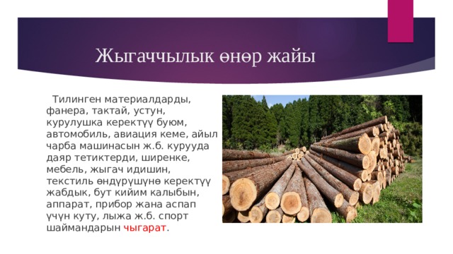 Жыгаччылык өнөр жайы  Тилинген материалдарды, фанера, тактай, устун, курулушка керектүү буюм, автомобиль, авиация кеме, айыл чарба машинасын ж.б. курууда даяр тетиктерди, ширенке, мебель, жыгач идишин, текстиль өндүрүшүнө керектүү жабдык, бут кийим калыбын, аппарат, прибор жана аспап үчүн куту, лыжа ж.б. спорт шаймандарын чыгарат . 