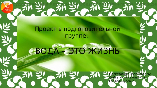Государственное Автономное Общеобразовательное Учреждение Проект в подготовительной группе: ВОДА – ЭТО ЖИЗНЬ Подготовила воспитатель: Сибгатуллина Альбина Гаптельнуровна 