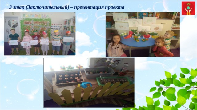 3 этап (Заключительный) –  презентация проекта 