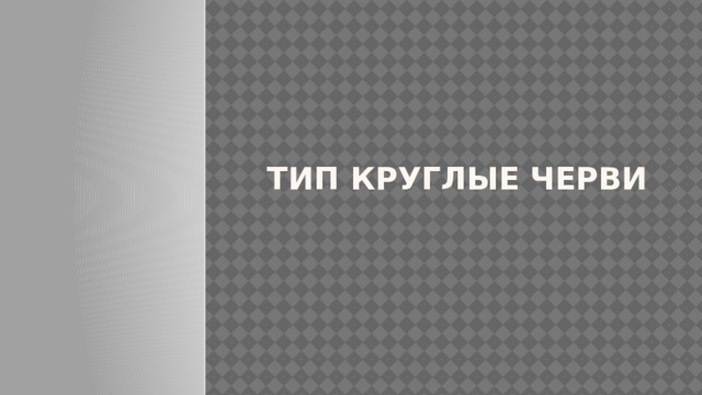 Тип круглые черви 