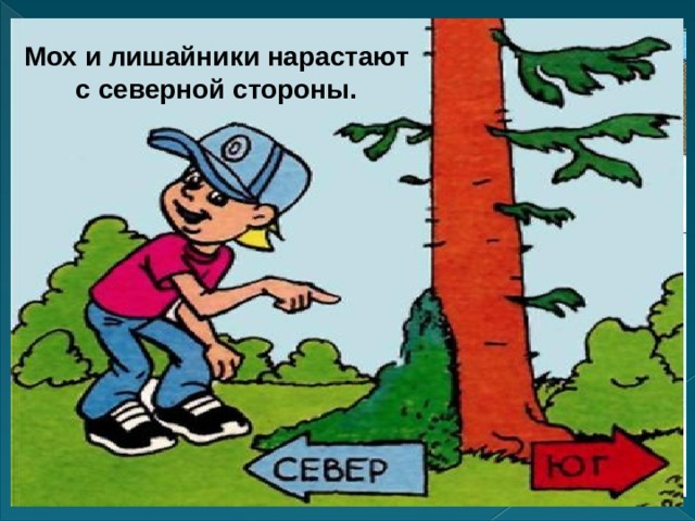 Презентация правила поведения человека при попадании в условия автономии в природе