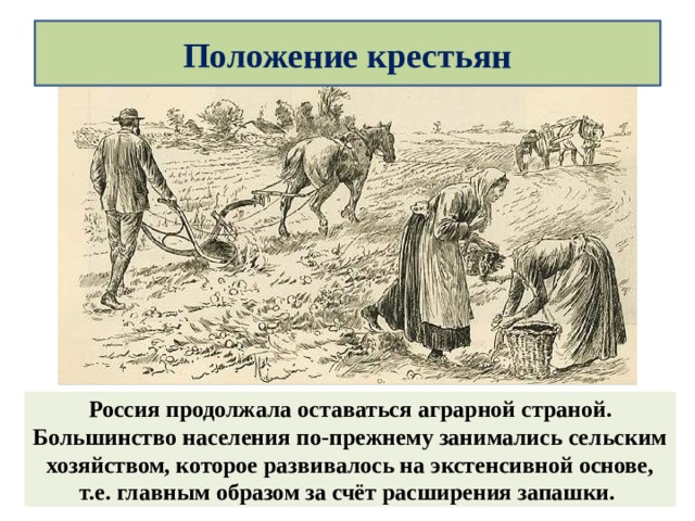 Положение крестьян Россия продолжала оставаться аграрной страной. Большинство населения по-прежнему занимались сельским хозяйством, которое развивалось на экстенсивной основе, т.е. главным образом за счёт расширения запашки. 