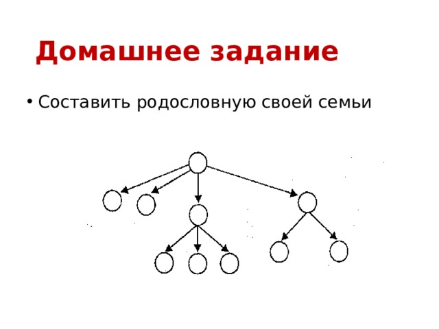 Домашнее задание  Составить родословную своей семьи 