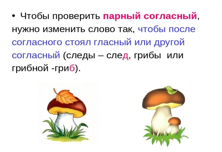 Слово гриб
