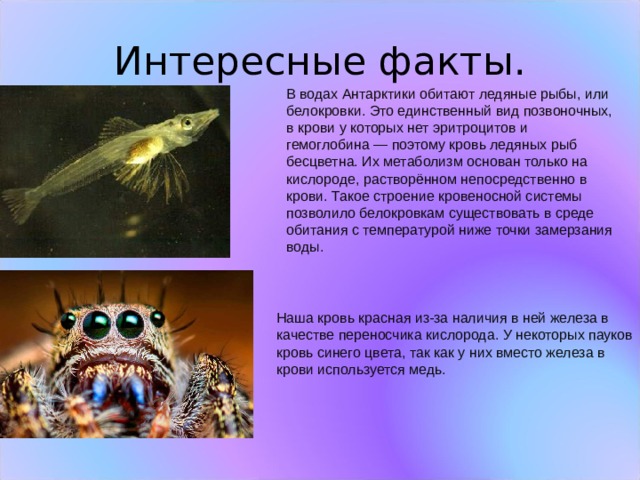 Рассмотрите животное изображенное на рисунке ответьте на вопросы в какой среде обитания живет рысь