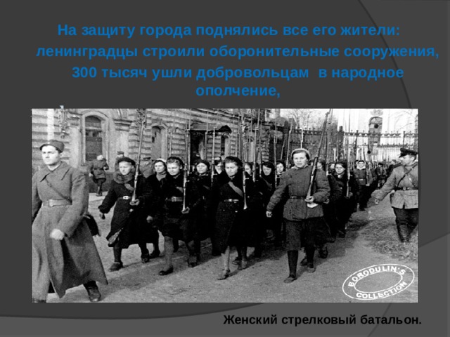 На защиту города поднялись все его жители:  ленинградцы строили оборонительные сооружения,  300 тысяч ушли добровольцам в народное ополчение,  на фронт и в партизанские отряды. Женский стрелковый батальон .  