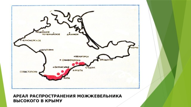 Можжевельник где растет в россии карта охвата