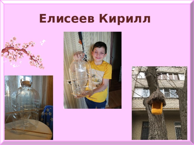 Елисеев Кирилл 