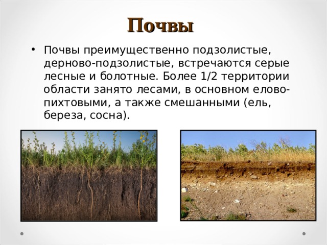 Почва Нижегородской области дерново- подзолистые почвы. Почвы Новгородской области. Болотные почвы. Типы почв характерны для смешанных лесов