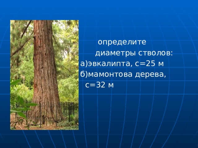  определите  диаметры стволов:  а)эвкалипта, с=25 м  б)мамонтова дерева,  с=32 м 