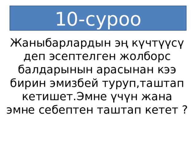 10-суроо Жаныбарлардын эң күчтүүсү деп эсептелген жолборс балдарынын арасынан кээ бирин эмизбей туруп,таштап кетишет.Эмне үчүн жана эмне себептен таштап кетет ? 