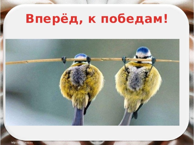 Вперёд, к победам! 