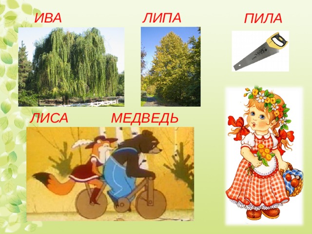 ИВА ЛИПА       ЛИСА МЕДВЕДЬ       ПИЛА