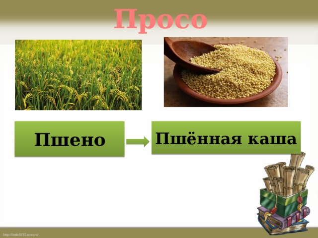 Просо Пшено Пшённая каша 