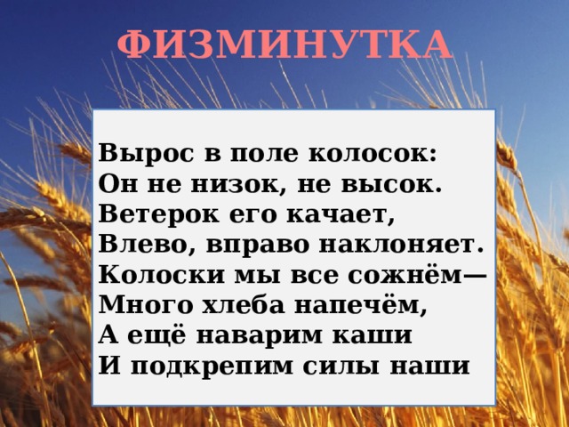 ФИЗМИНУТКА Вырос в поле колосок: Он не низок, не высок. Ветерок его качает, Влево, вправо наклоняет. Колоски мы все сожнём— Много хлеба напечём, А ещё наварим каши И подкрепим силы наши 