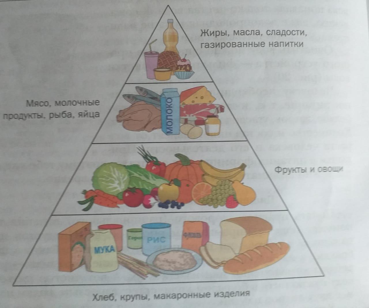 Технология пищевая пирамида