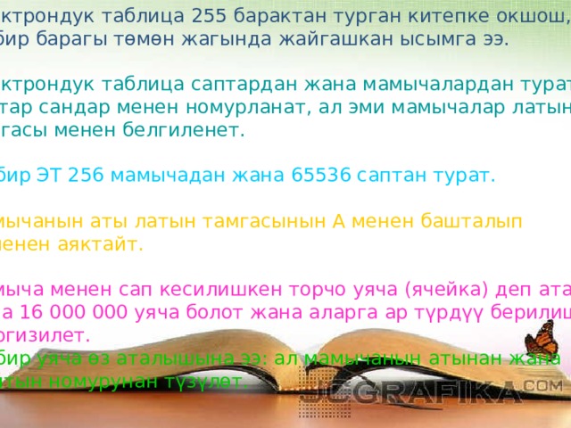 Электрондук таблица 255 барактан турган китепке окшош, ар бир барагы төмөн жагында жайгашкан ысымга ээ. Электрондук таблица саптардан жана мамычалардан турат, саптар сандар менен номурланат, ал эми мамычалар латын тамгасы менен белгиленет. Ар бир ЭТ 256 мамычадан жана 65536 саптан турат. Мамычанын аты латын тамгасынын А менен башталып IV менен аяктайт. Мамыча менен сап кесилишкен торчо уяча (ячейка) деп аталат. ЭТда 16 000 000 уяча болот жана аларга ар түрдүү берилиштер  киргизилет. Ар бир уяча өз аталышына ээ: ал мамычанын атынан жана  саптын номурунан түзүлөт. 