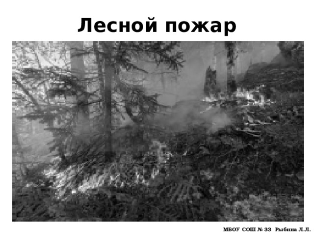 Лесной пожар МБОУ СОШ № 33 Рыбина Л.Л. 