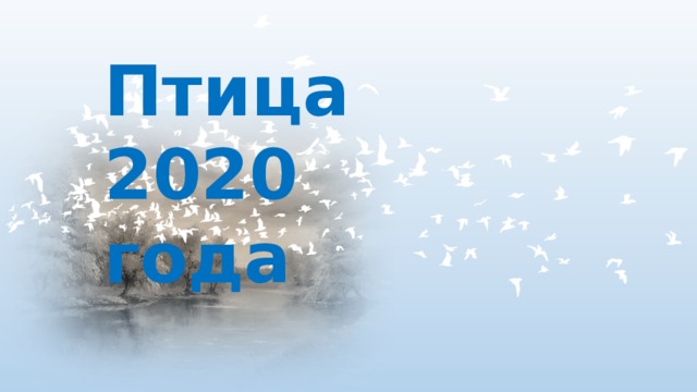 Птица 2020 года  