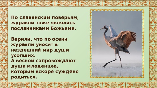 По славянским поверьям, журавли тоже являлись посланниками Божьими. Верили, что по осени журавли уносят в нездешний мир души усопших. А весной сопровождают души младенцев, которым вскоре суждено родиться. 