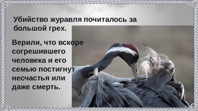 Убийство журавля почиталось за большой грех. Верили, что вскоре согрешившего человека и его семью постигнут несчастья или даже смерть. 