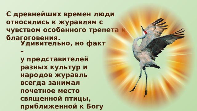 С древнейших времен люди относились к журавлям с чувством особенного трепета и благоговения. Удивительно, но факт – у представителей разных культур и народов журавль всегда занимал почетное место священной птицы, приближенной к Богу и духовному миру. 