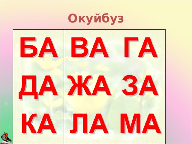 Окуйбуз 