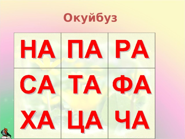 Окуйбуз 