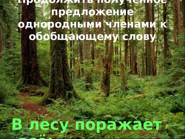 Продолжить полученное предложение однородными членами к обобщающему слову В лесу поражает всё: … 
