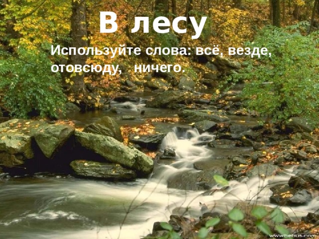    В лесу      Используйте слова: всё, везде,  отовсюду, ничего. 