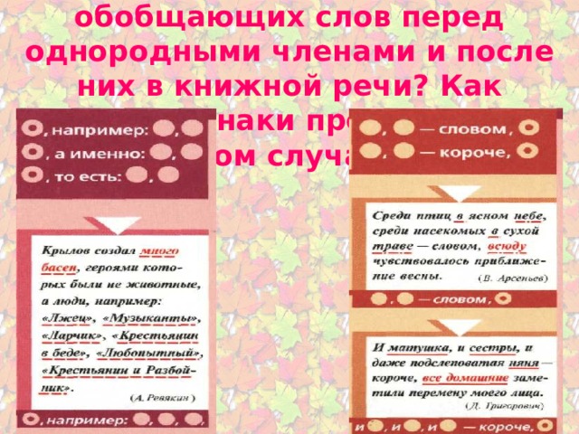 Какие слова могут стоять после обобщающих слов перед однородными членами и после них в книжной речи? Как ставятся знаки препинания в этом случае? 