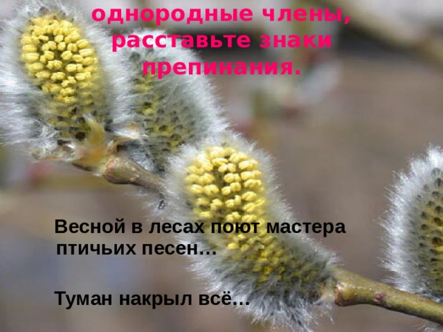 Вставьте в предложения однородные члены,  расставьте знаки препинания.  Весной в лесах поют мастера птичьих песен…   Туман накрыл всё… 