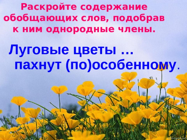 Раскройте содержание обобщающих слов, подобрав к ним однородные члены.  Луговые цветы … пахнут (по)особенному . 