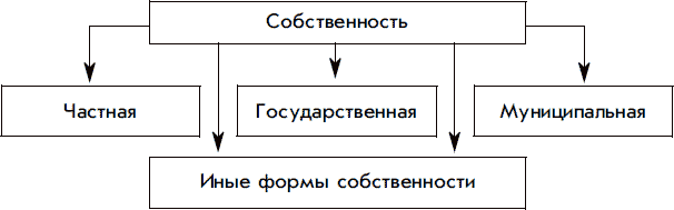 Находиться в частной государственной муниципальной. Частная государственная муниципальная и иные формы собственности. Виды собственности частная государственная муниципальная. Формы собственности иные формы собственности. Формы собственности муниципальная частная.