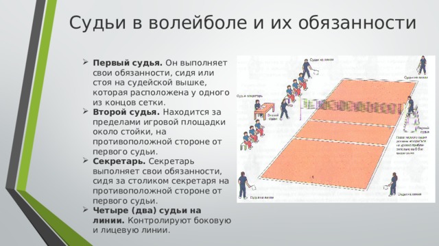 Волейбол расстановка