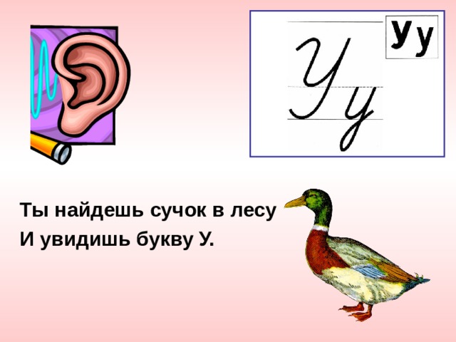 Ты найдешь сучок в лесу И увидишь букву У. 