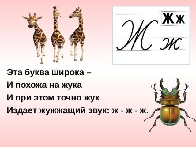 Эта буква широка – И похожа на жука И при этом точно жук Издает жужжащий звук: ж - ж - ж . 