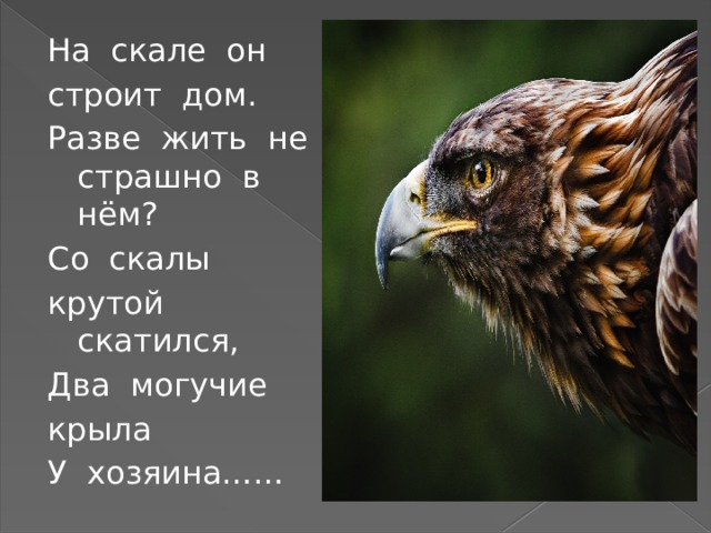 На скале он строит дом. Разве жить не страшно в нём? Со скалы крутой скатился, Два могучие крыла У хозяина…… 