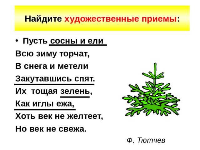 Пусть сосны и ели. Стих пусть сосны и ели. Пусть сосны и ели всю зиму торчат в снега и метели. Пусть сосны и ели всю зиму торчат. Сосны и ели всю зиму торчат.