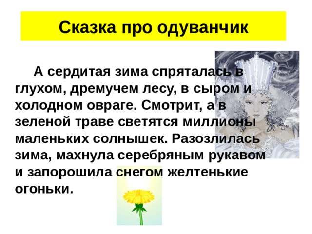 Сказка про одуванчик  А сердитая зима спряталась в глухом, дремучем лесу, в сыром и холодном овраге. Смотрит, а в зеленой траве светятся миллионы маленьких солнышек. Разозлилась зима, махнула серебряным рукавом и запорошила снегом желтенькие огоньки. 