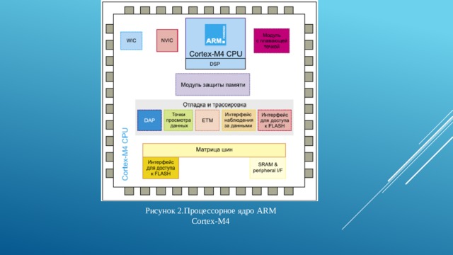 Рисунок 2.Процессорное ядро ARM Cortex-M4 