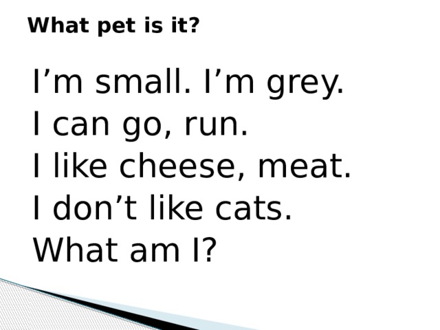What pet is it?   I’m small. I’m grey. I can go, run. I like cheese, meat. I don’t like cats. What am I? 